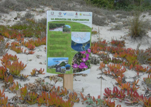 Azione di sensibilizzazione realizzata con il progetto APQ