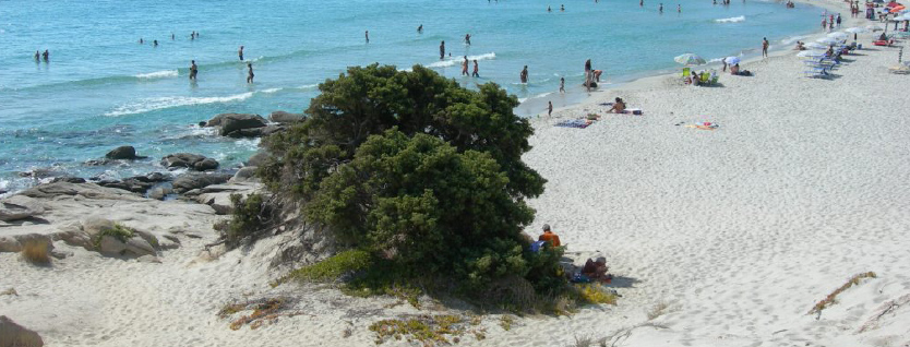 pressione-antropica-dune