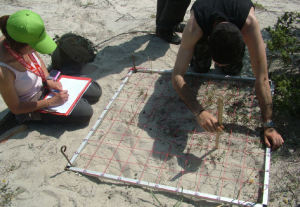 analisi-conoscitiva-del-territorio