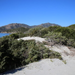 Ginepreto Campulongu (Habitat 2250) (2)