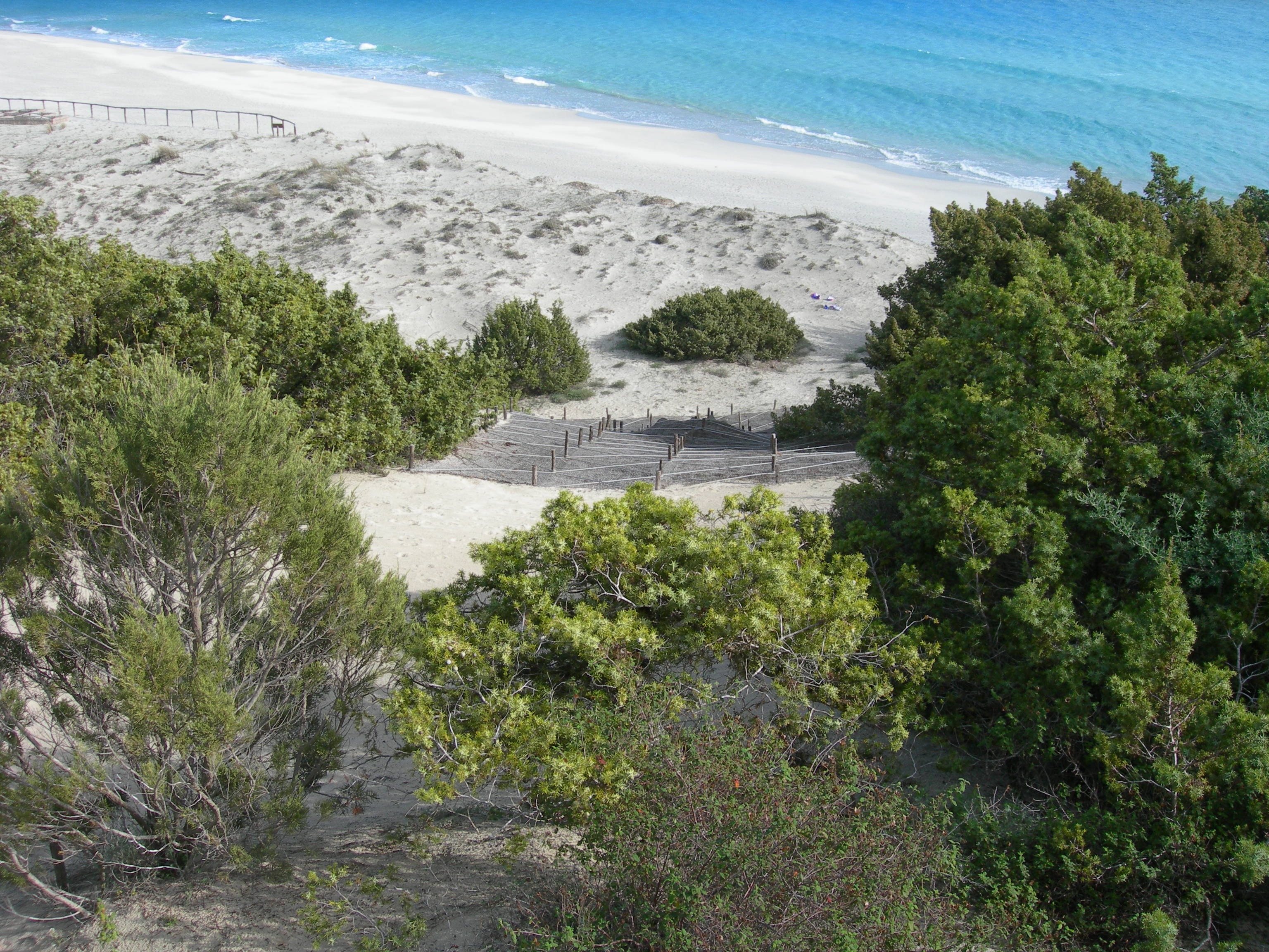 Ripristino ginepreto Timi Ama  (Habitat 2250)