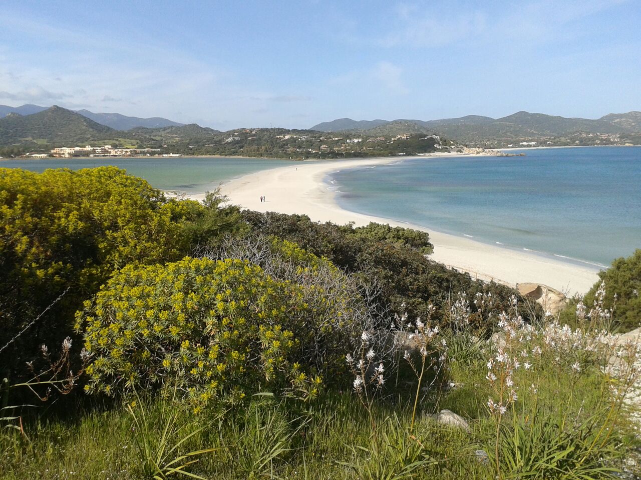 Spiaggia Porto Giunco e stagno
