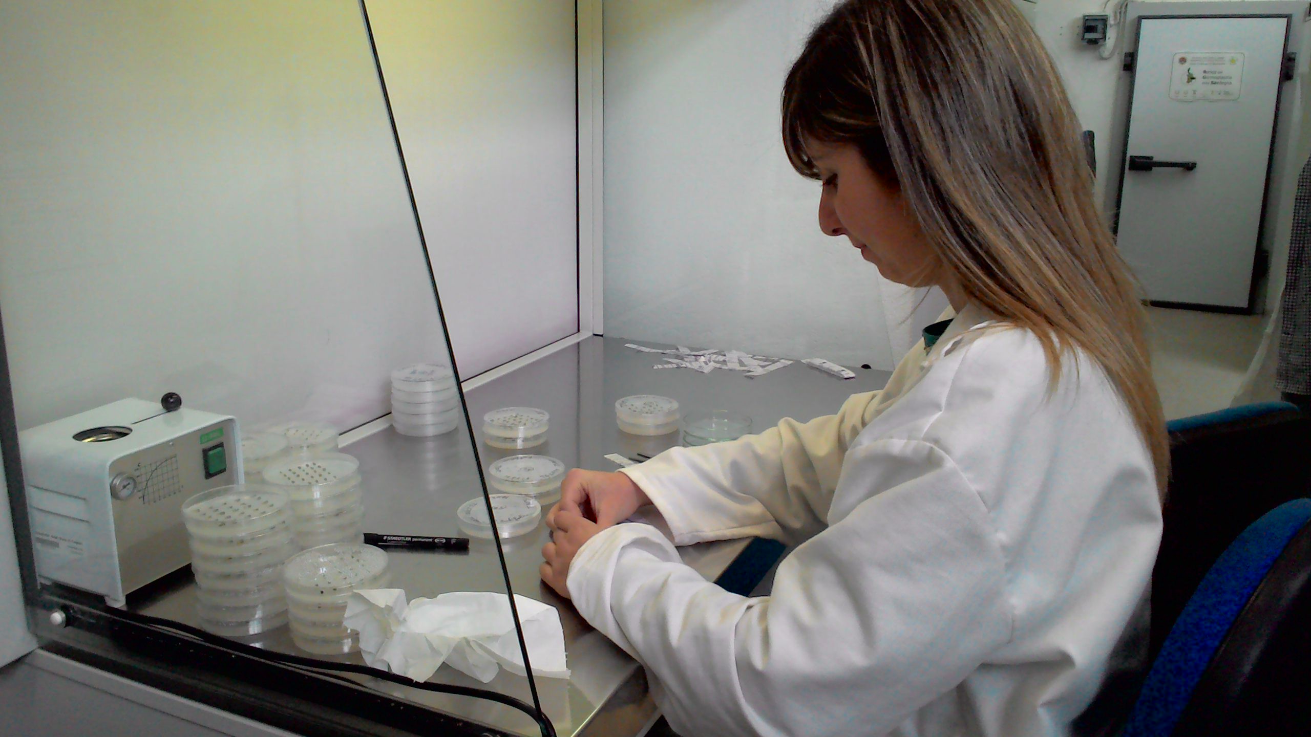 Lavoro in Banca del germoplasma