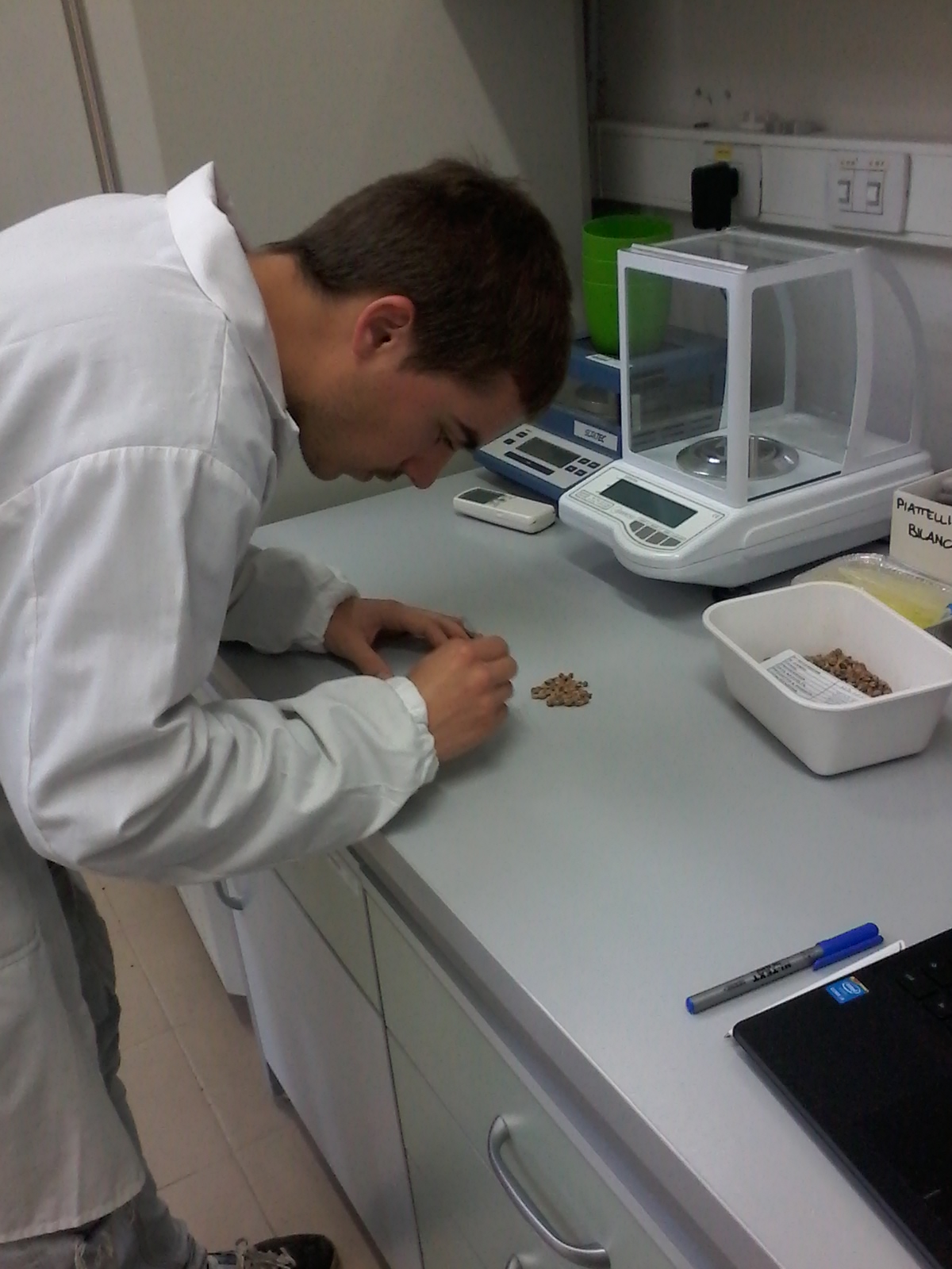 Lavoro in Banca del germoplasma