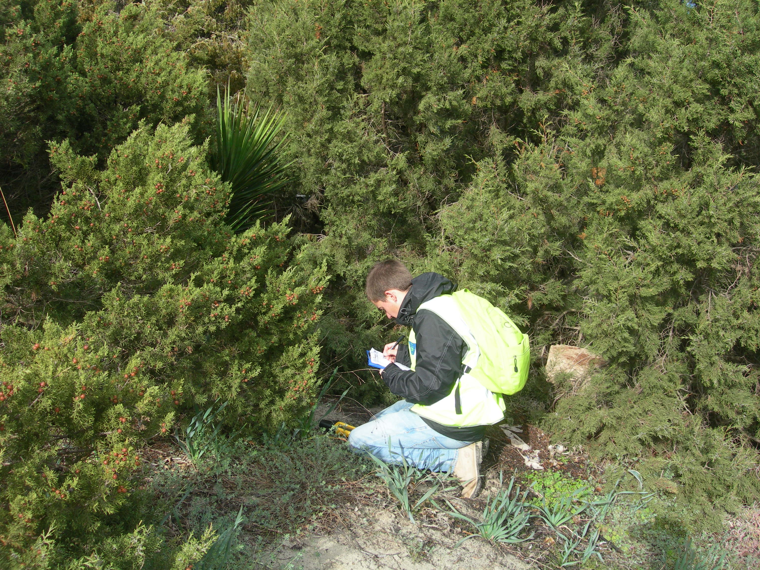 Monitoraggio delle invasive