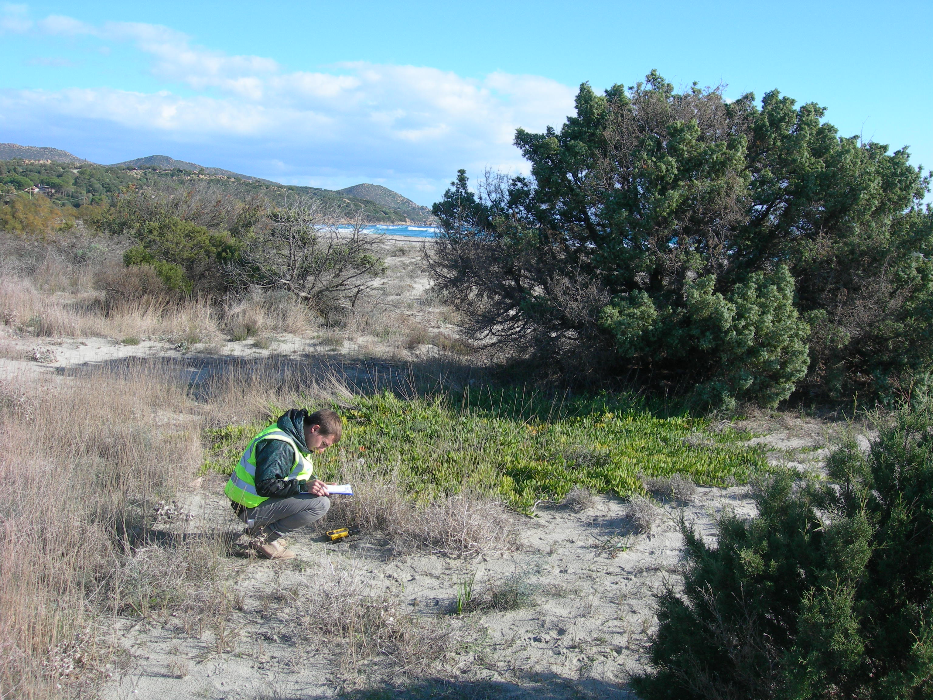 Monitoraggio delle invasive