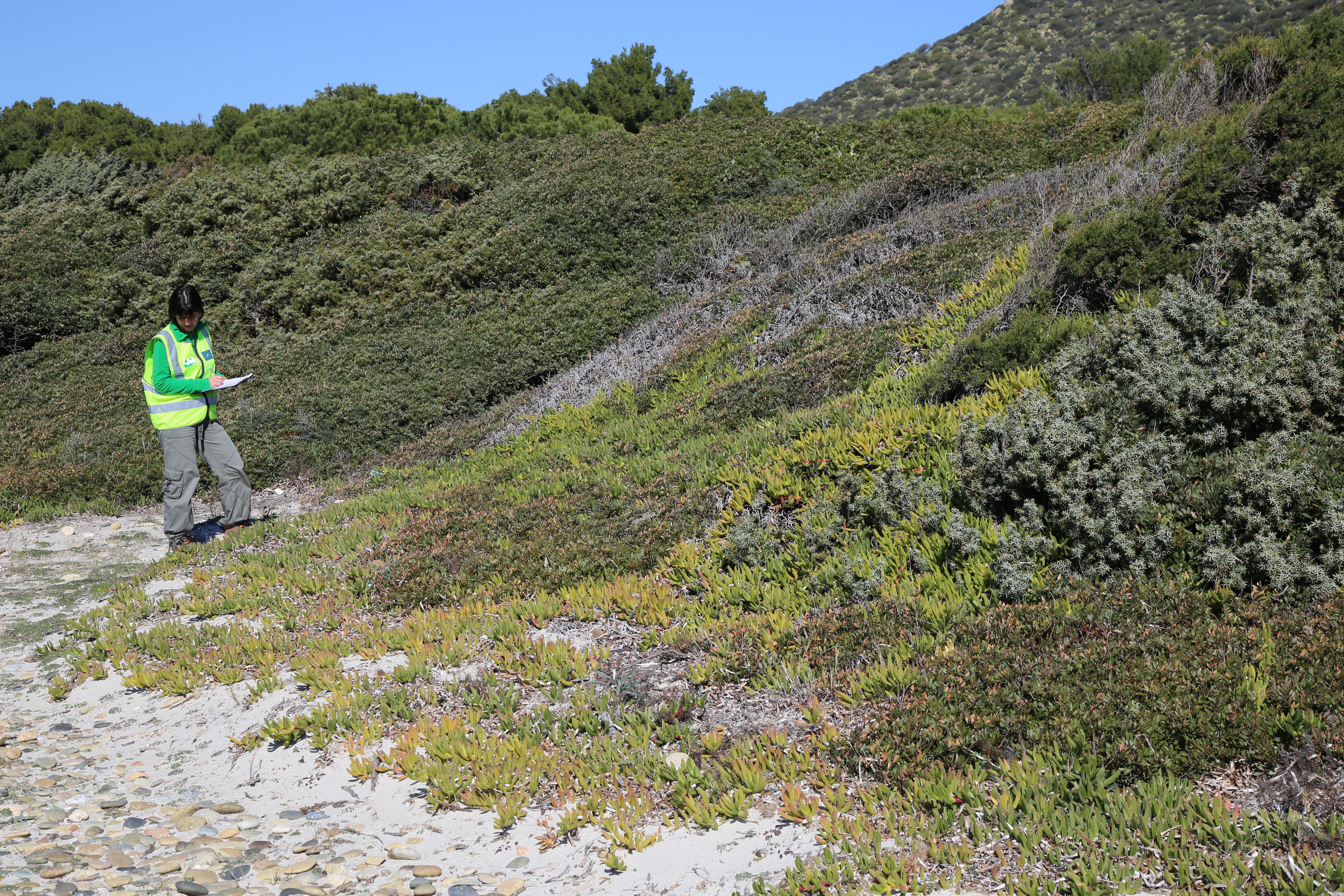 Monitoraggio delle invasive