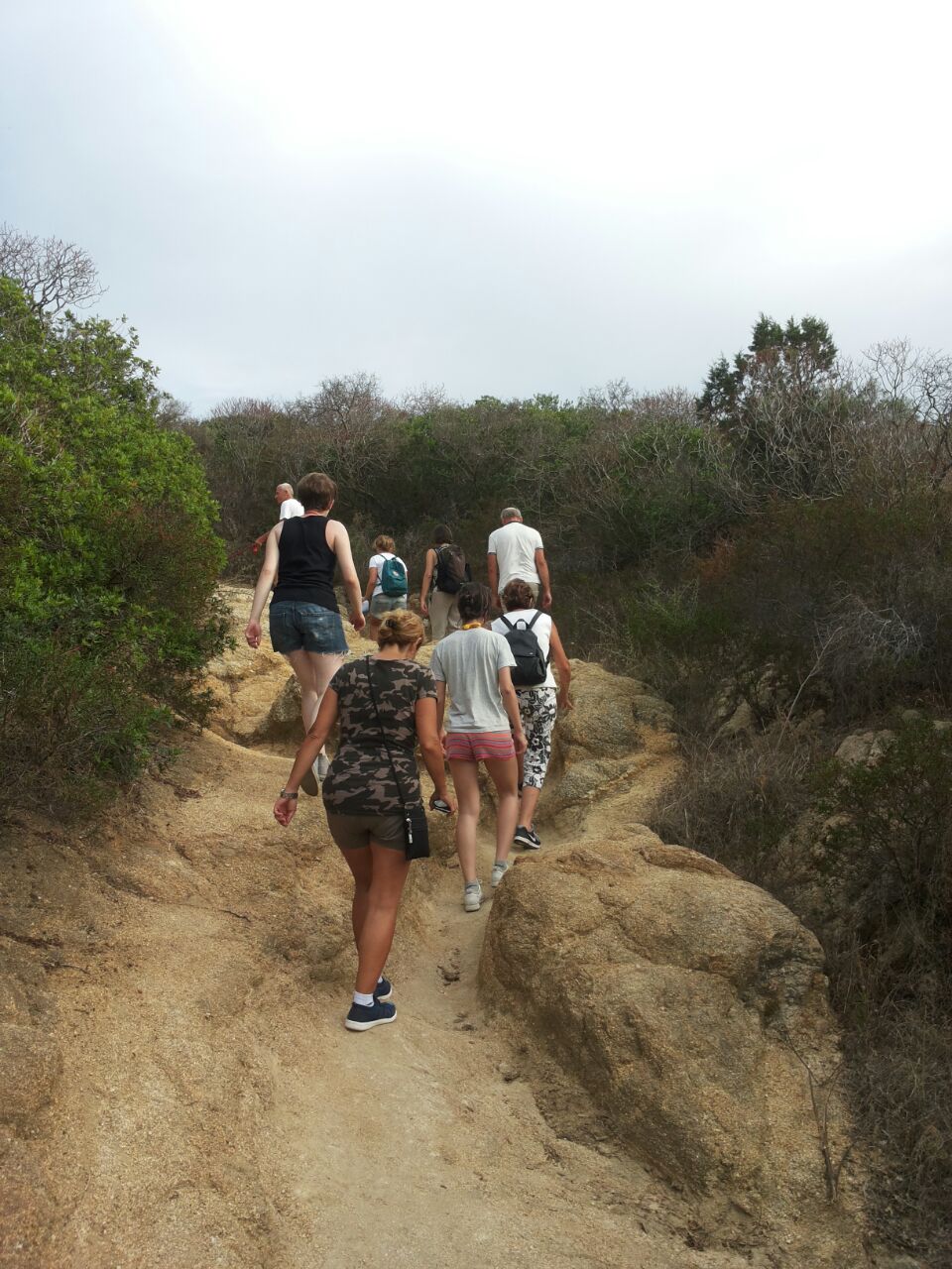 Sensibilizzazione turisti agosto 2015