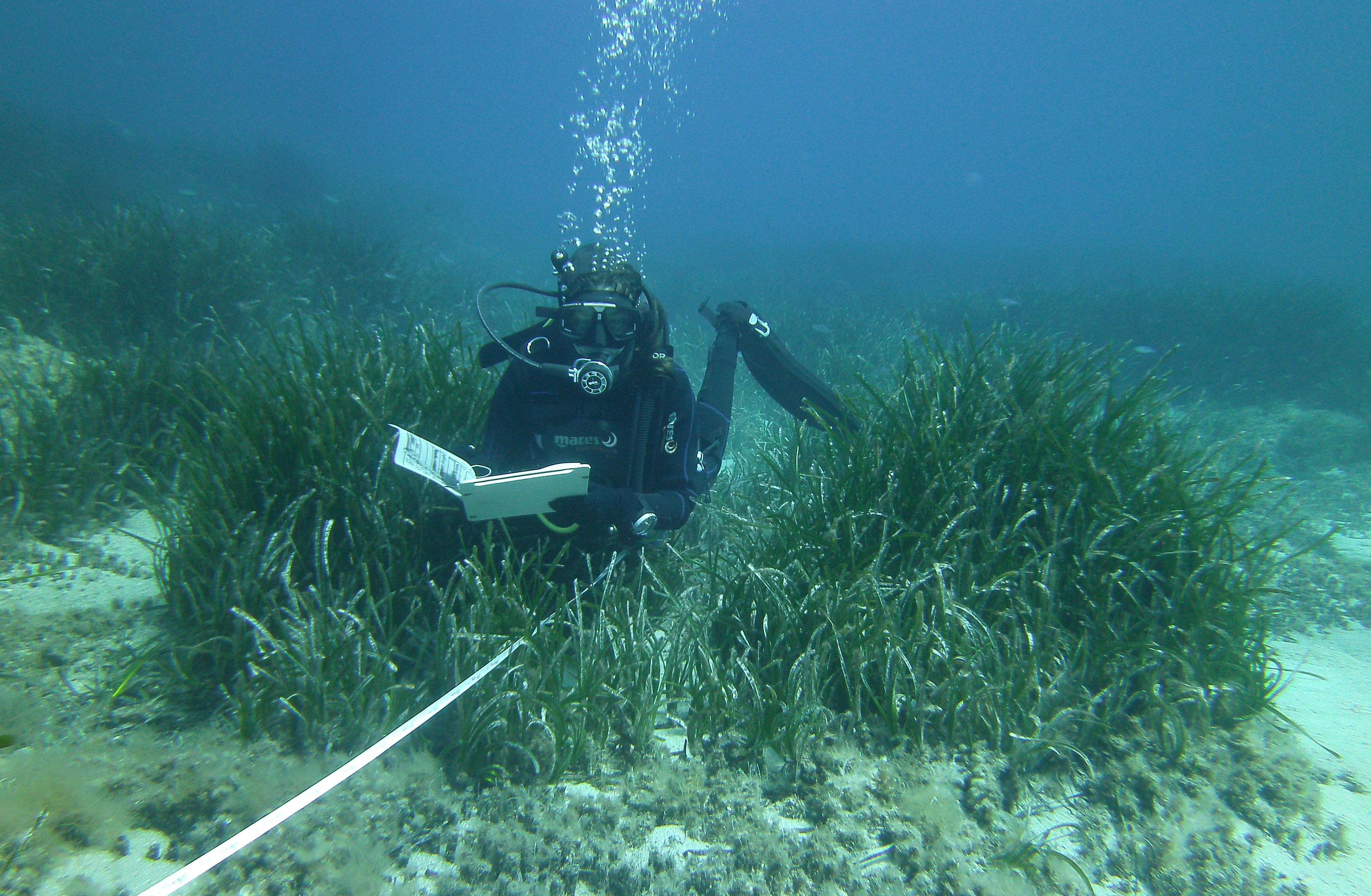 Rilevamento dati di campo