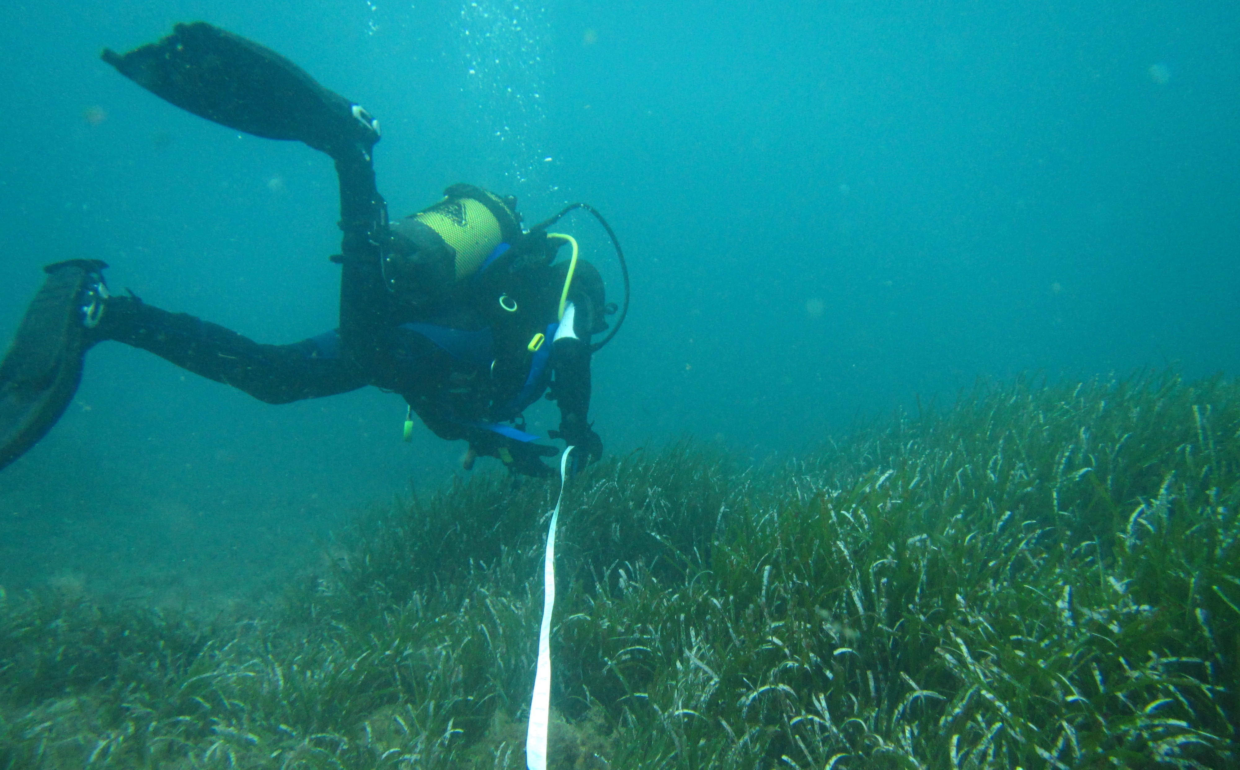 Rilevamento su transetto metrato