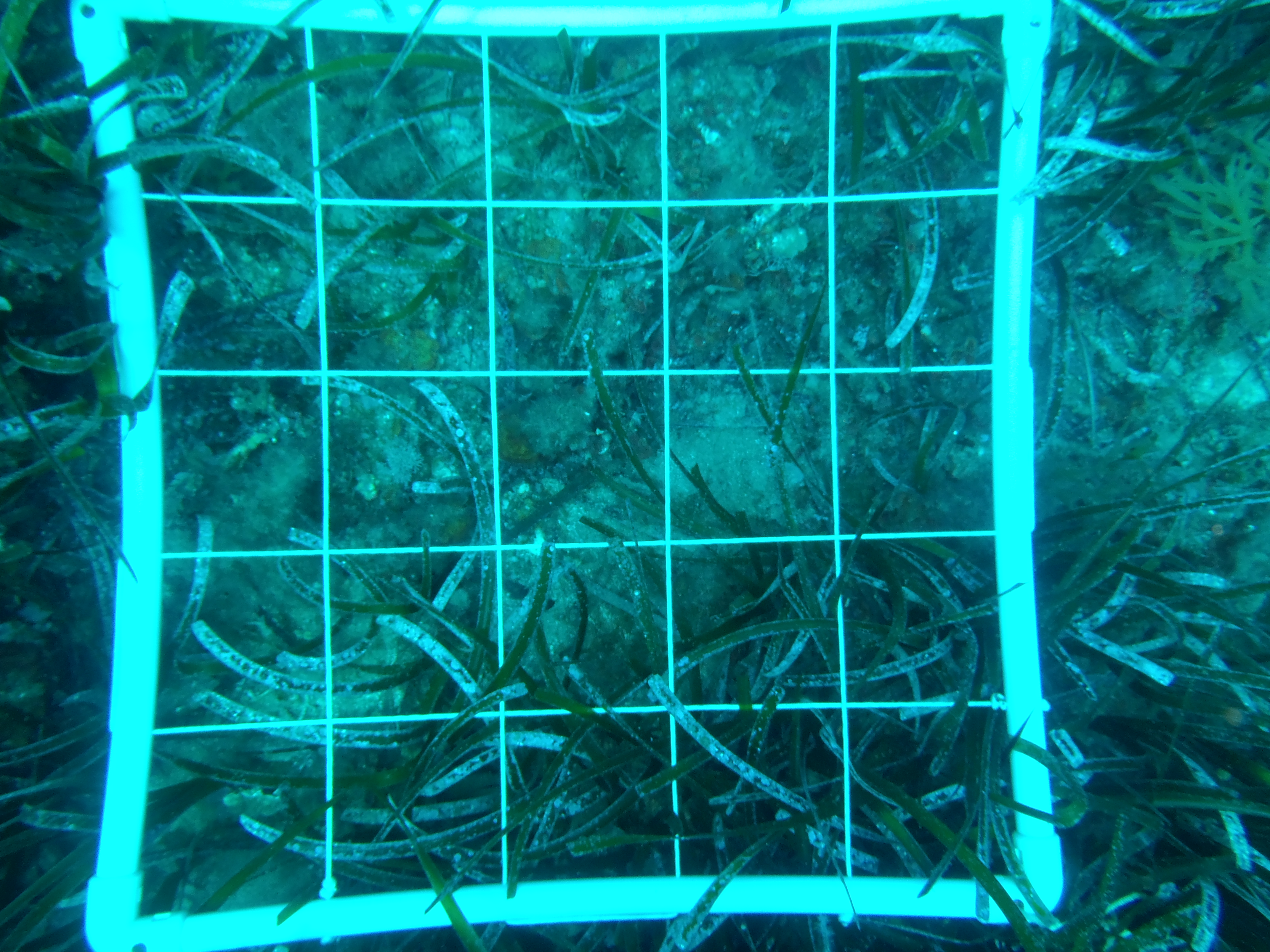 Tecnica di rilevamento fotografico