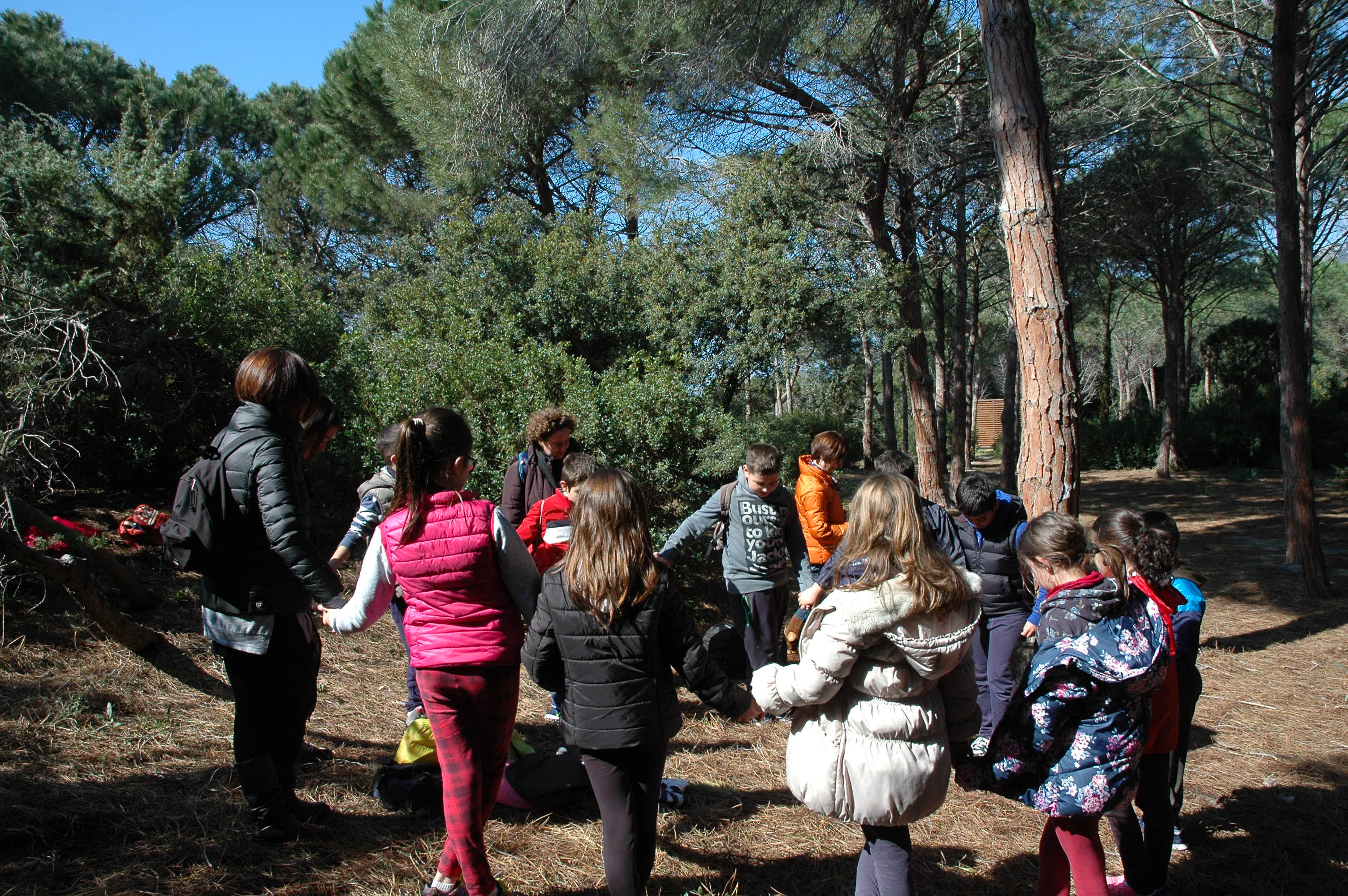 Karel_Velementari didattica Campulongu 15_3_16 37