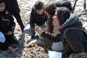 Karel_Velementari didattica Campulongu 15_3_16 68