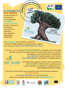 locandina E7 (17.05.2016)