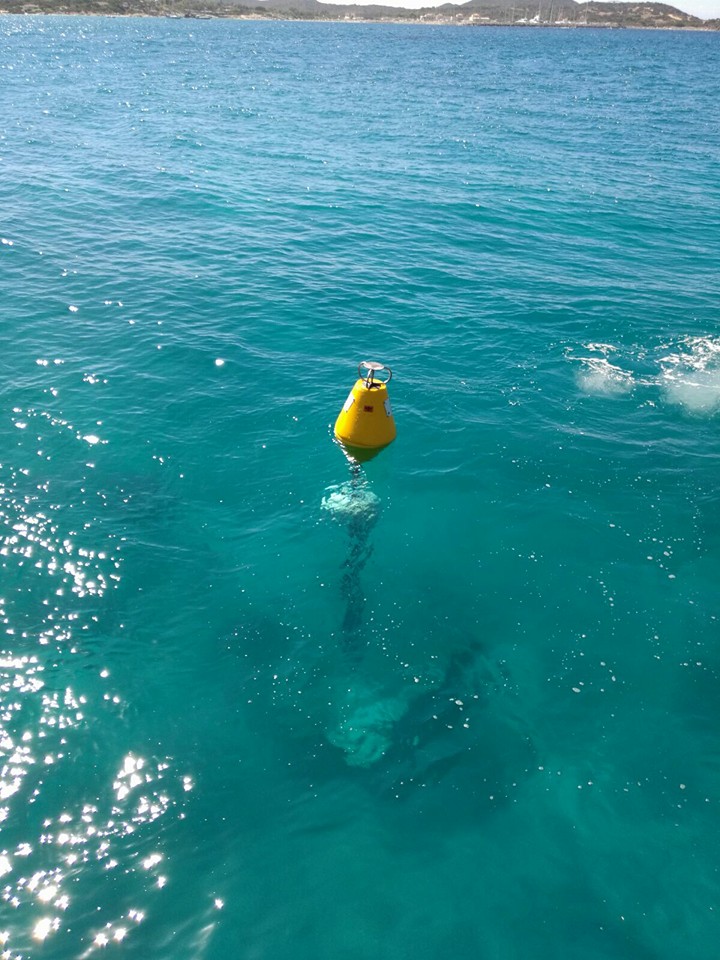 posizionamento gavitelli di ormeggio