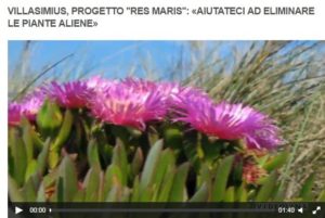 Servizio RES MARIS TG Videolina