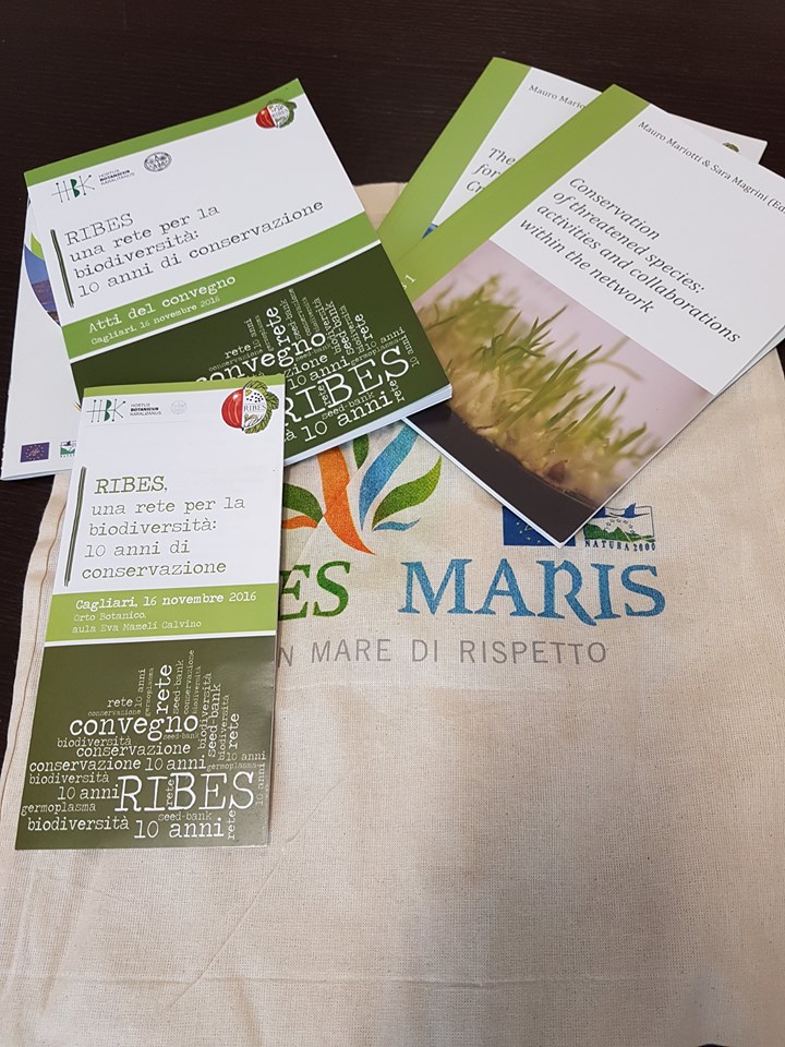 15032256_981392305306210_4477953670158656730_n