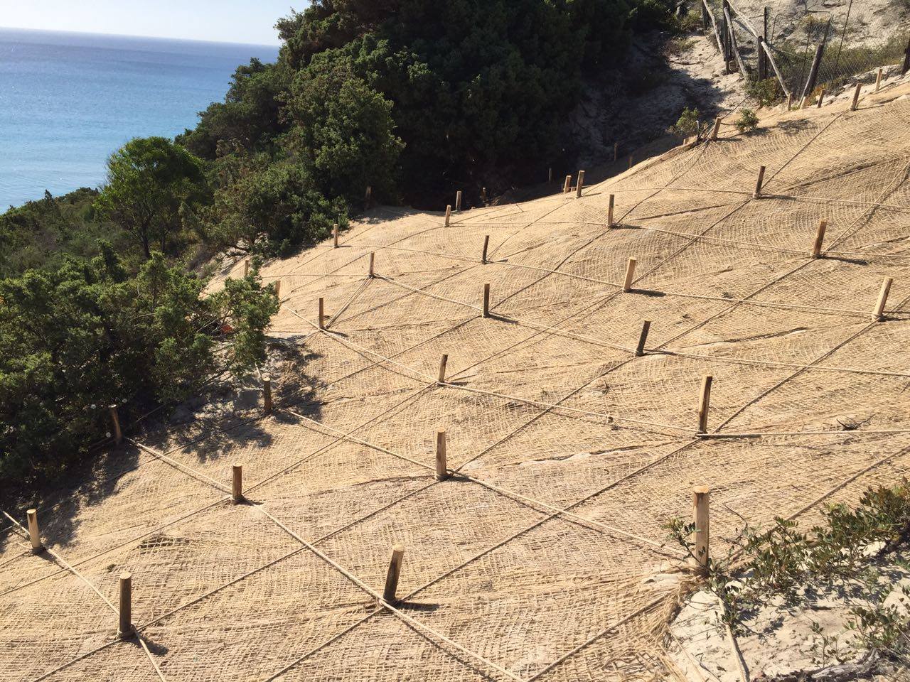 Bioreti anti erosione