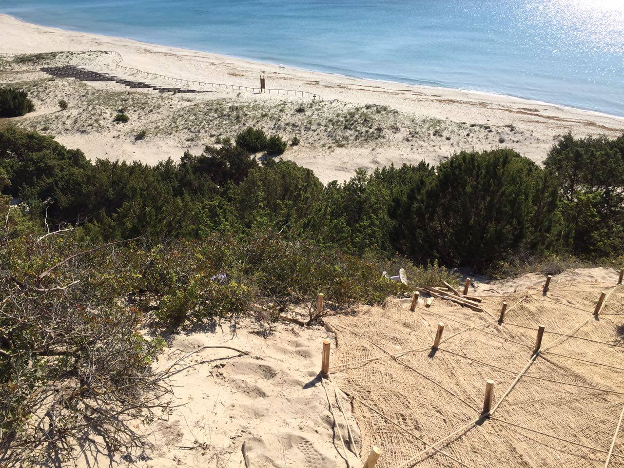 Bioreti anti erosione