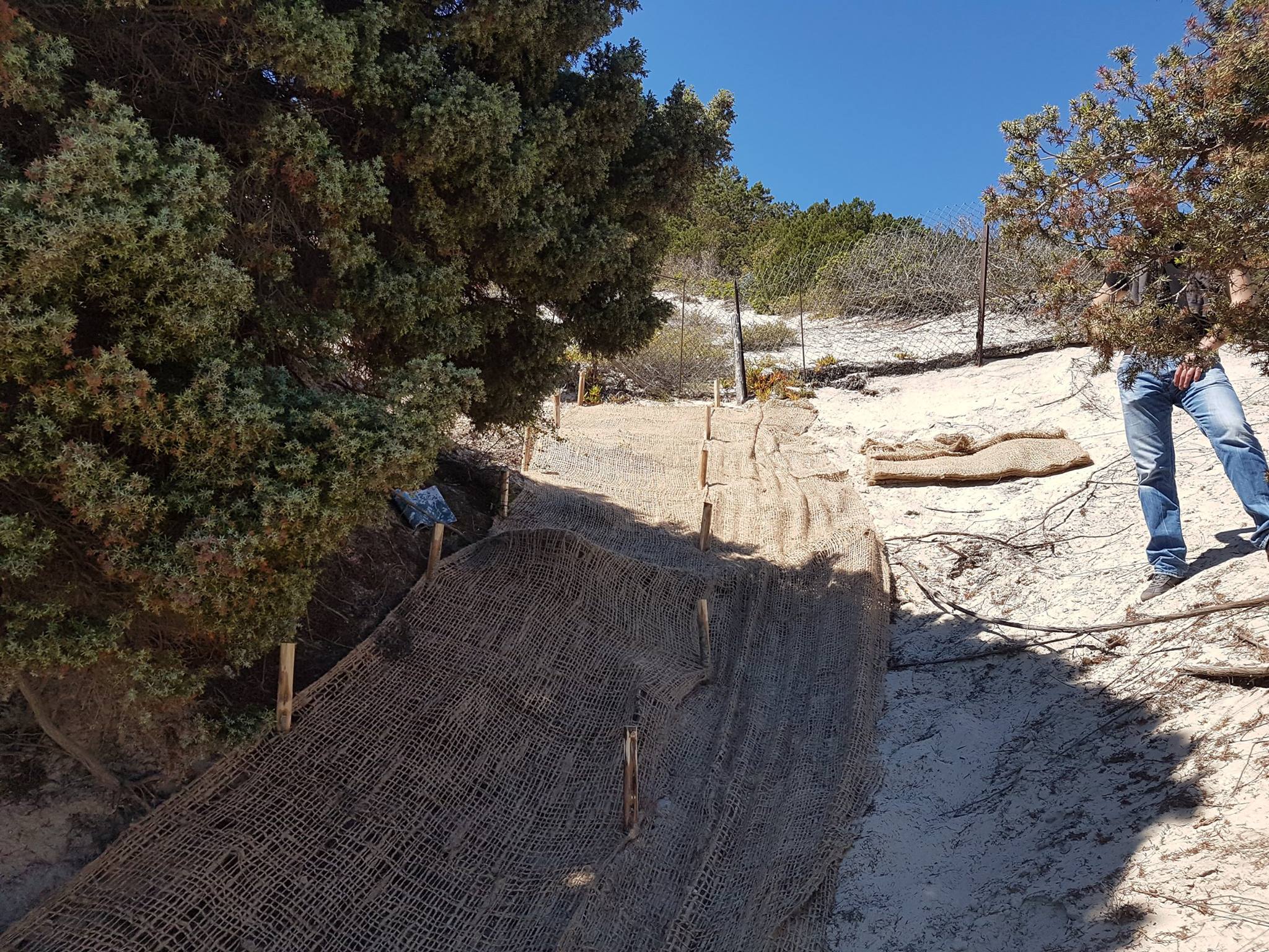 Bioreti anti erosione