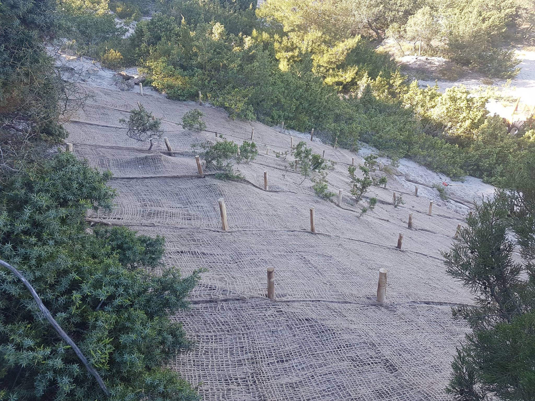 Bioreti anti erosioni