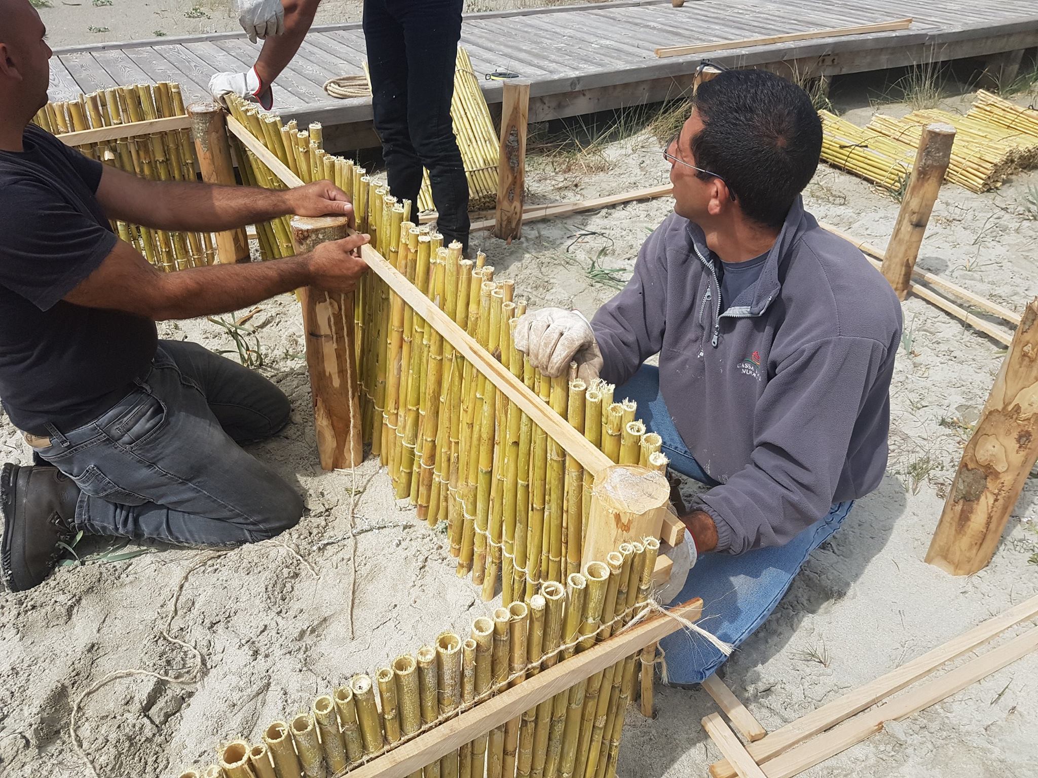 Barriere frangivento