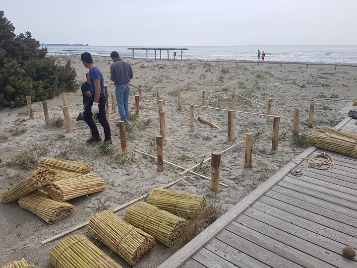 Barriere frangivento