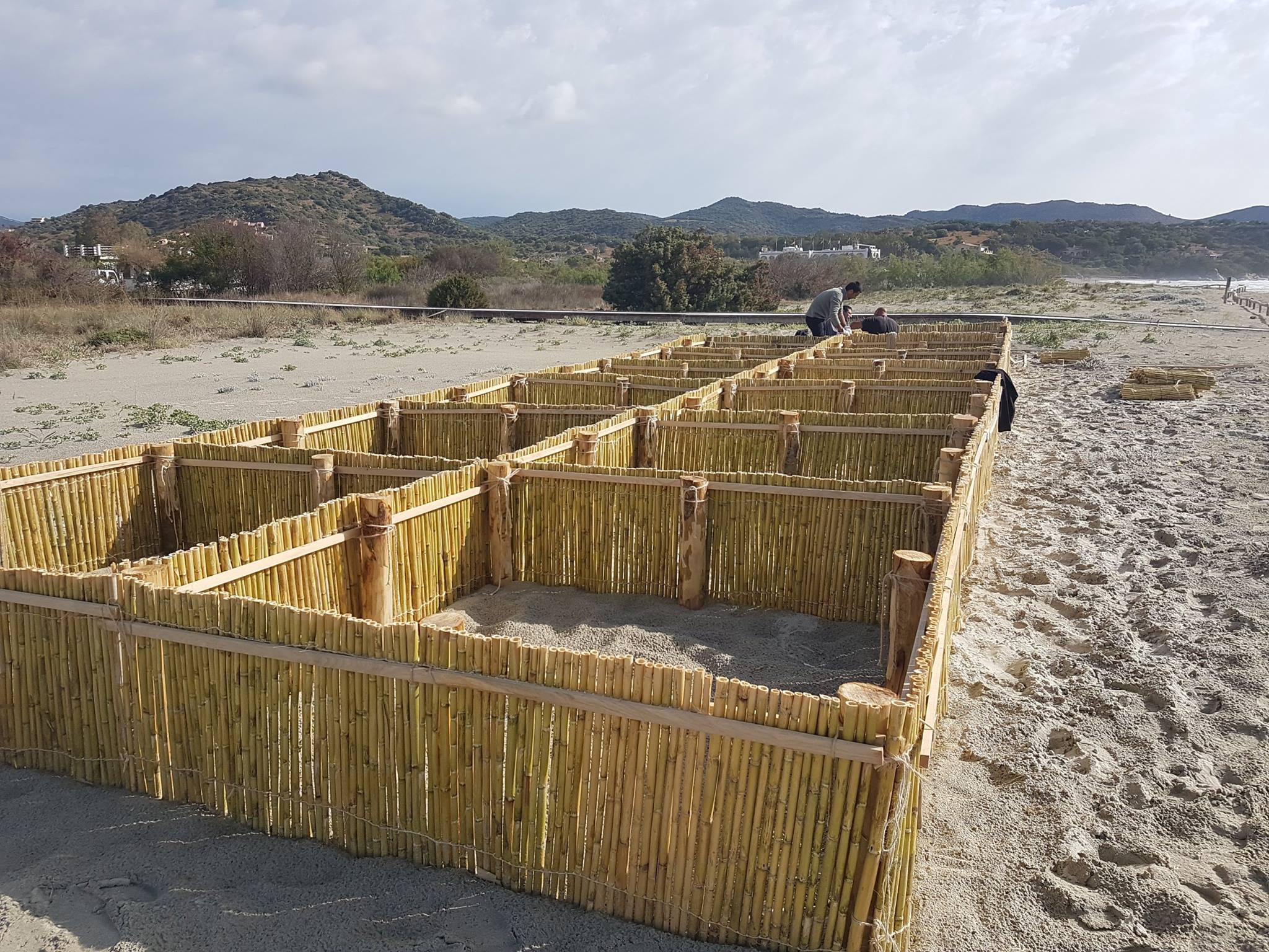 Barriere frangivento