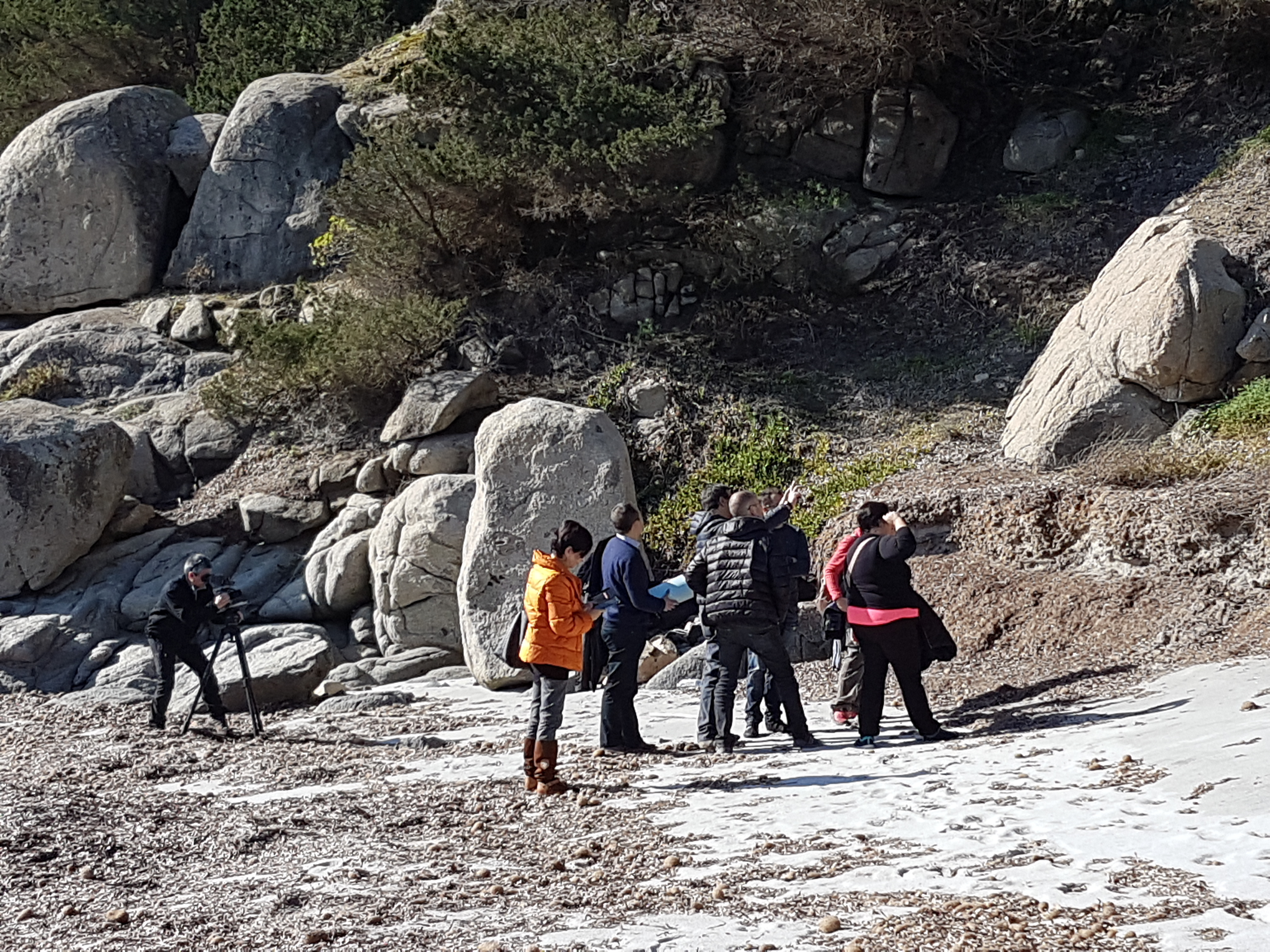 Avvio interventi di ripristino e rinaturazione degli habitat dunali