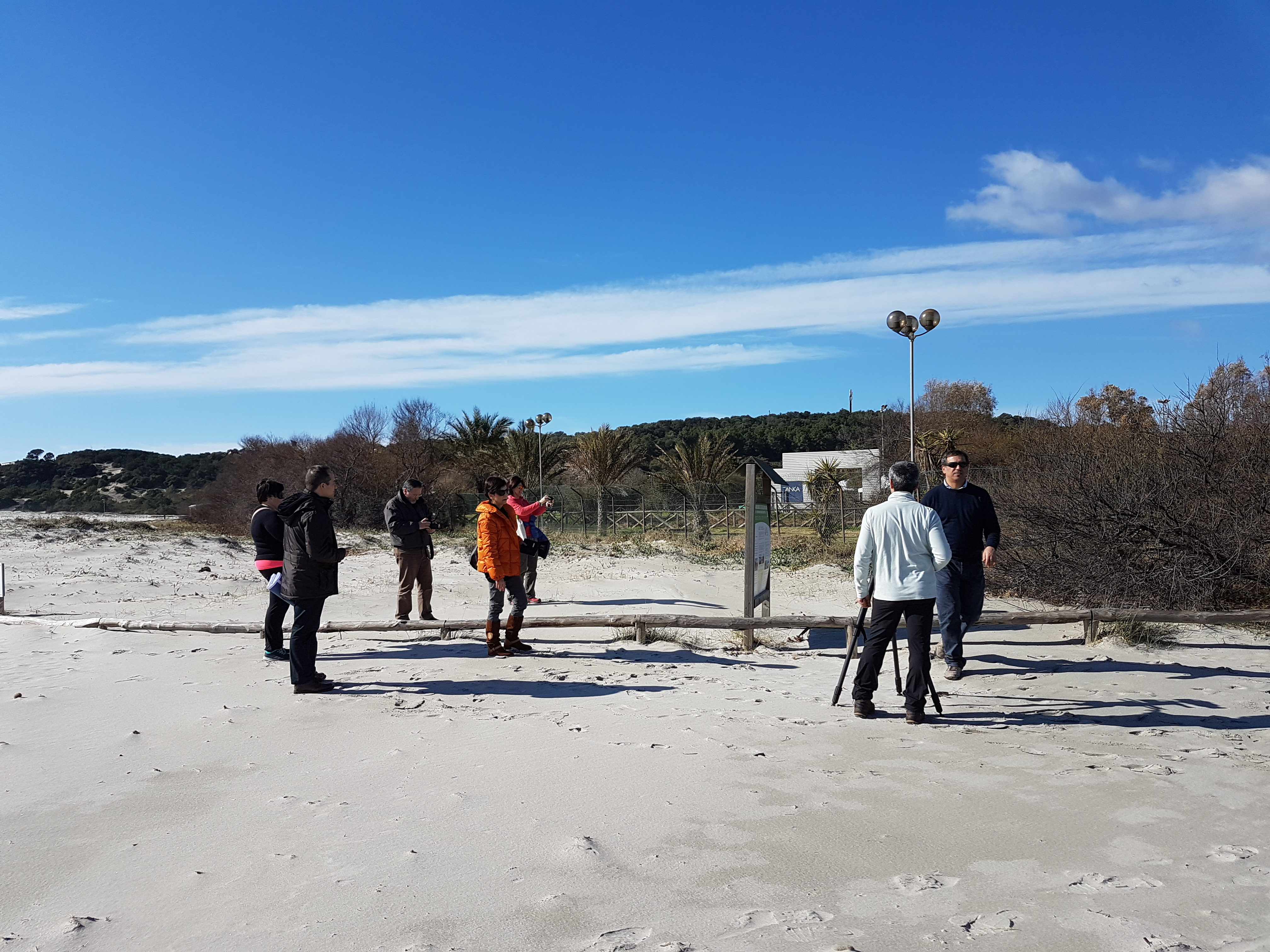 Avvio interventi di ripristino e rinaturazione degli habitat dunali