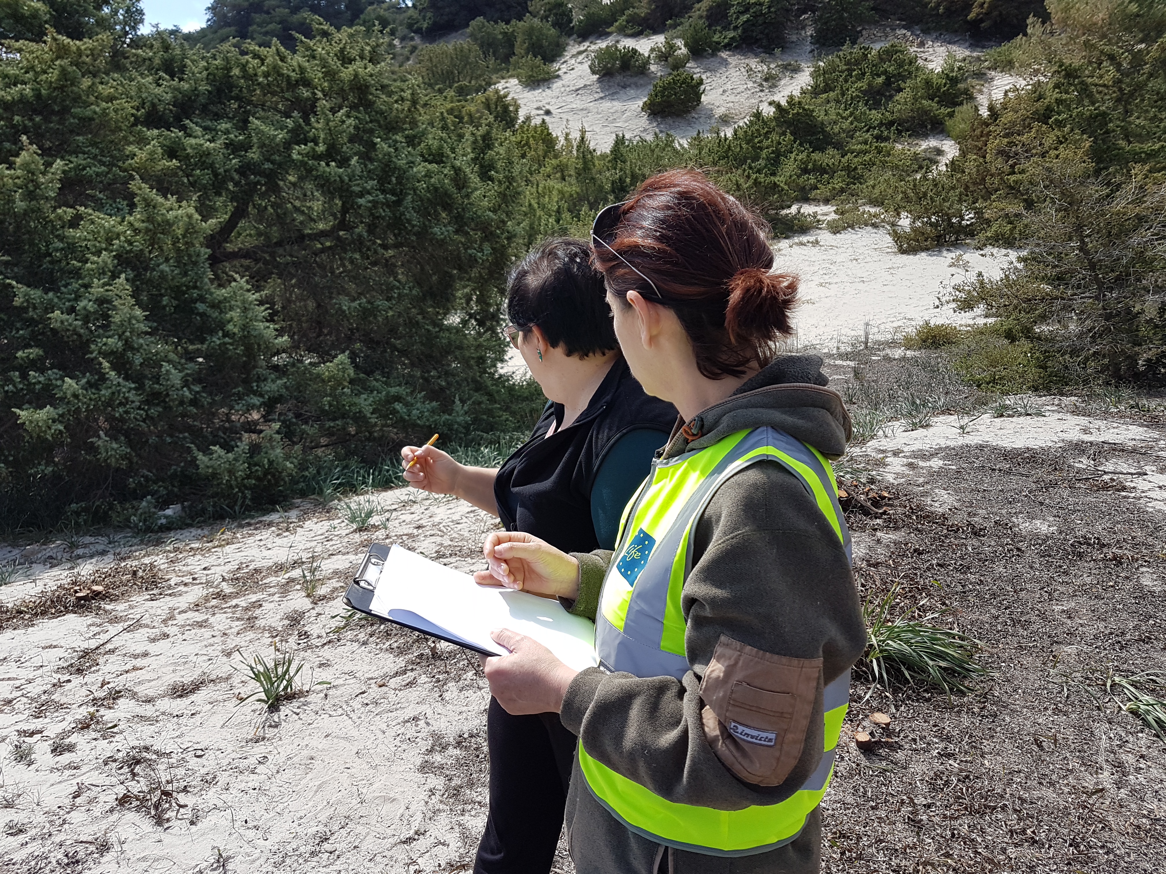 Monitoraggio efficacia interventi eradicazione