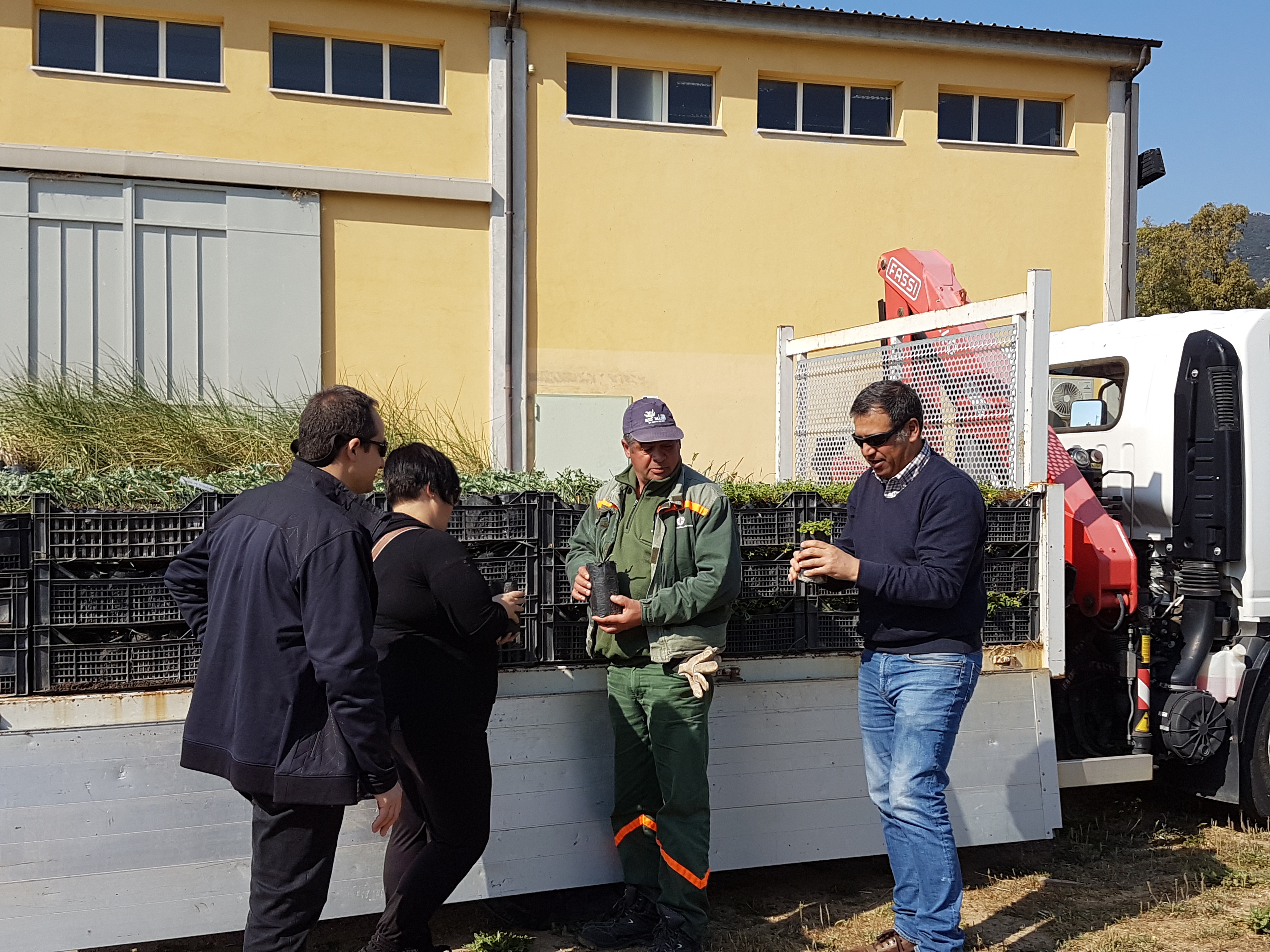 Consegna piante autoctone per rinaturazione ambienti dunali