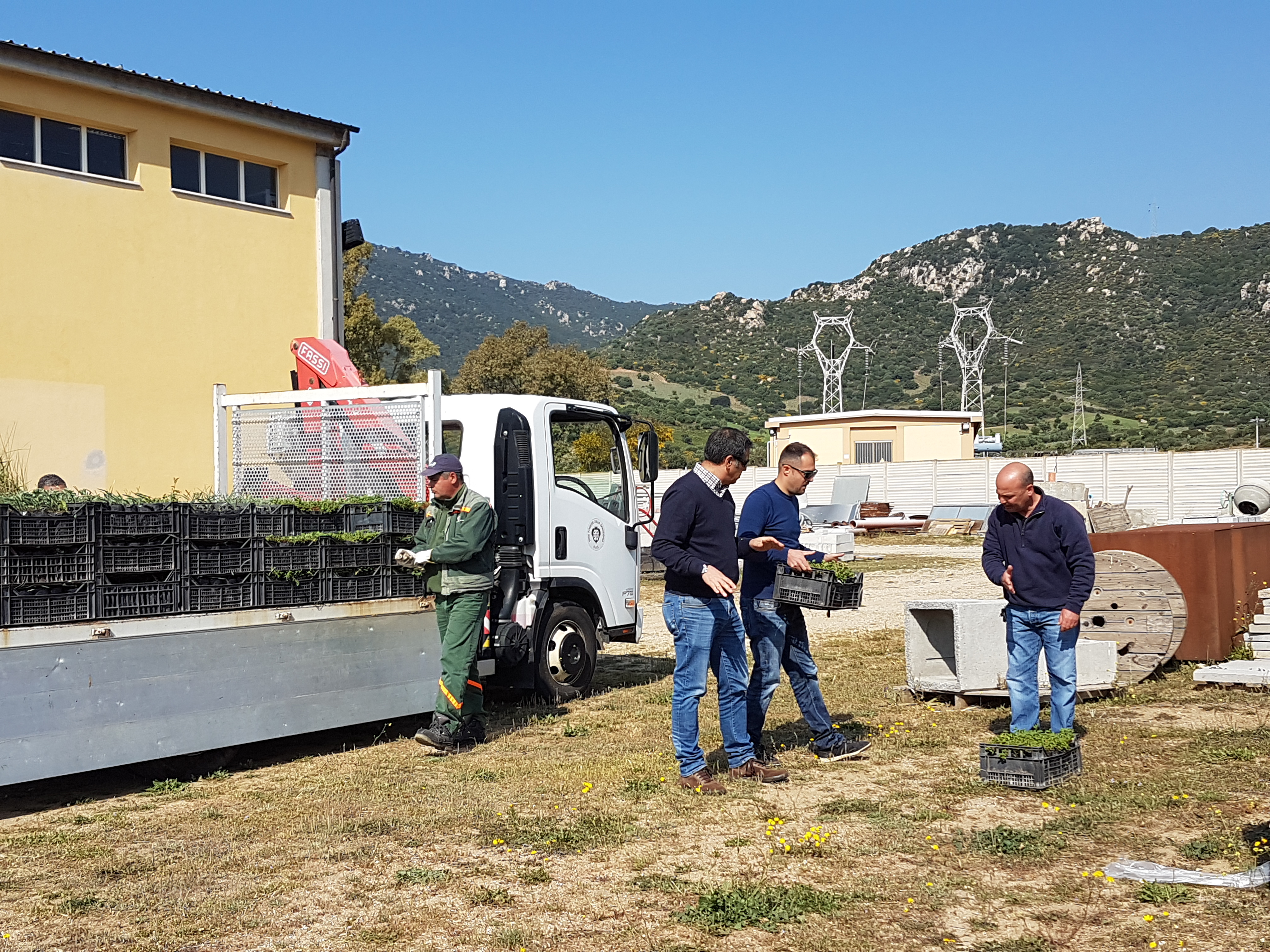 Consegna piante autoctone per rinaturazione ambienti dunali