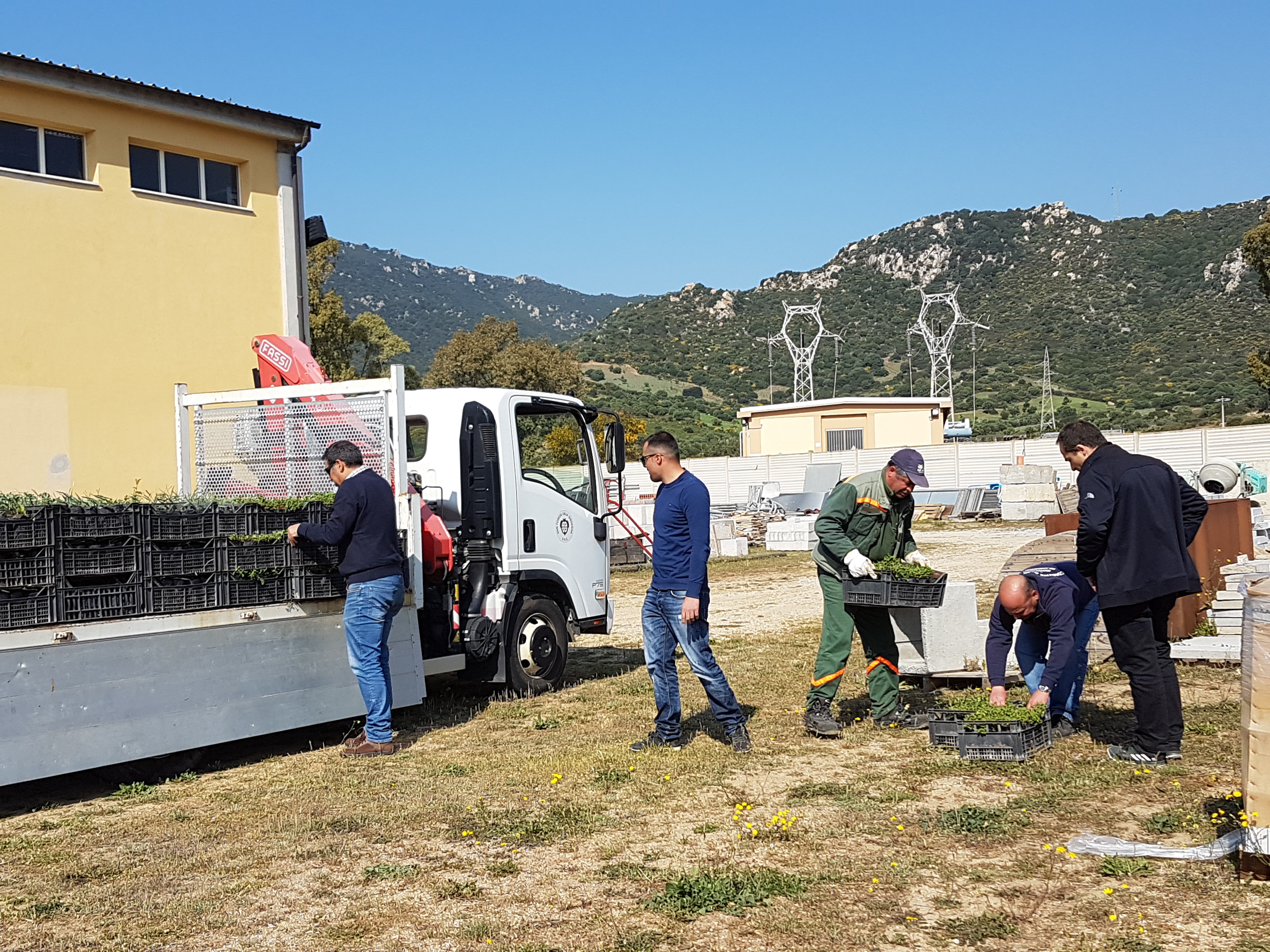 Consegna piante autoctone per rinaturazione ambienti dunali