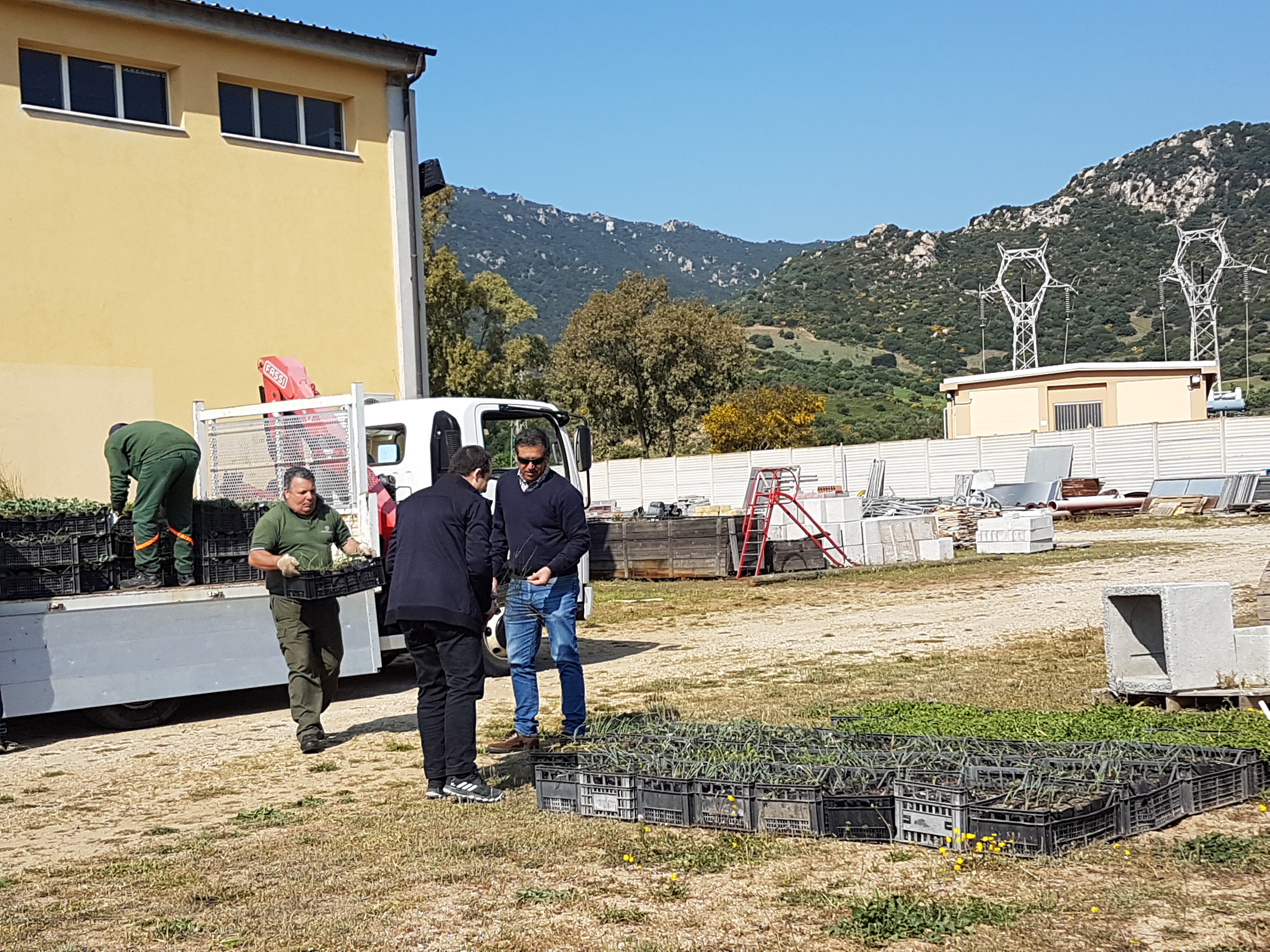 Consegna piante autoctone per rinaturazione ambienti dunali